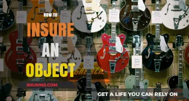 Securing Your Valuables: A Comprehensive Guide to Insuring Objects