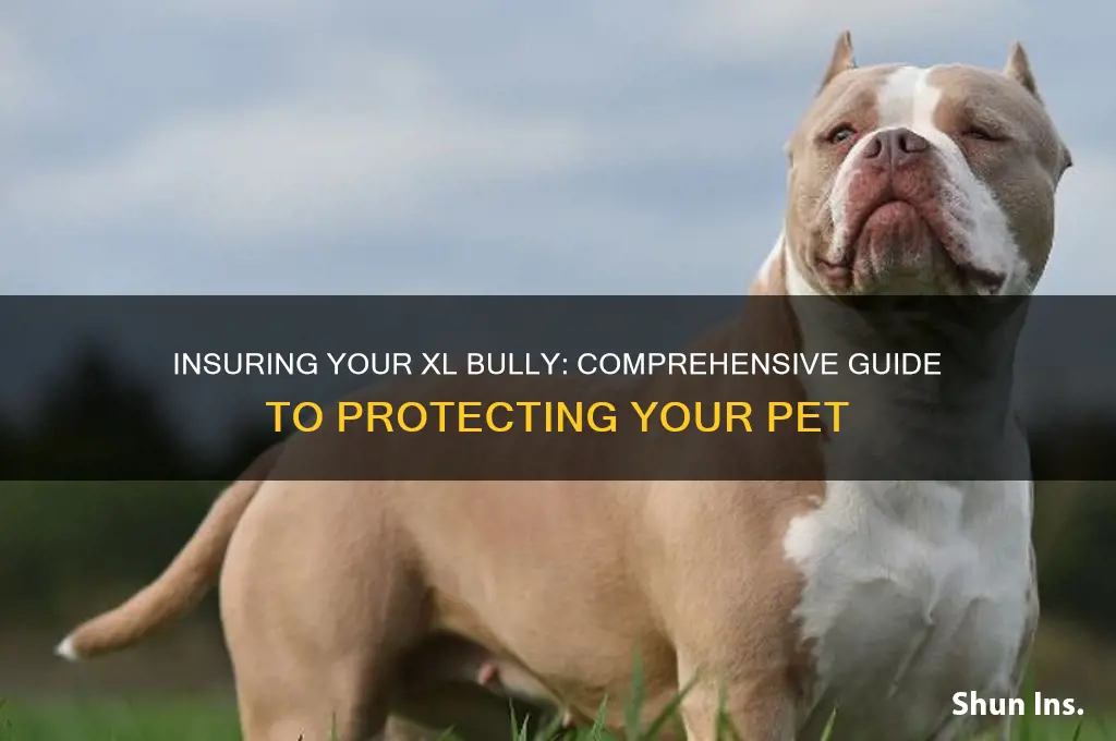 how to insure an xl bully