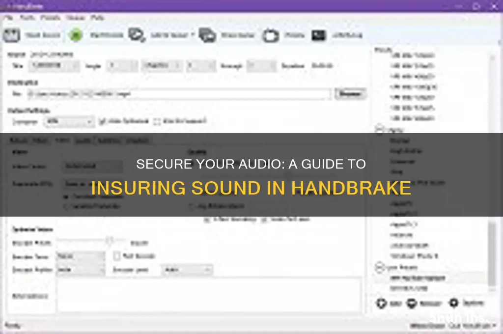 how to insure audio in handbrake