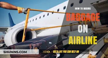 Secure Your Luggage: A Guide to Insuring Airline Baggage