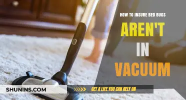 Prevent Bed Bug Infestation: Tips for a Bug-Free Vacuum Cleaner