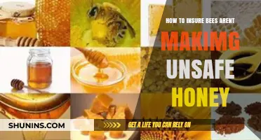 Ensuring Safe Honey Production: Protecting Bees and Their Harvest