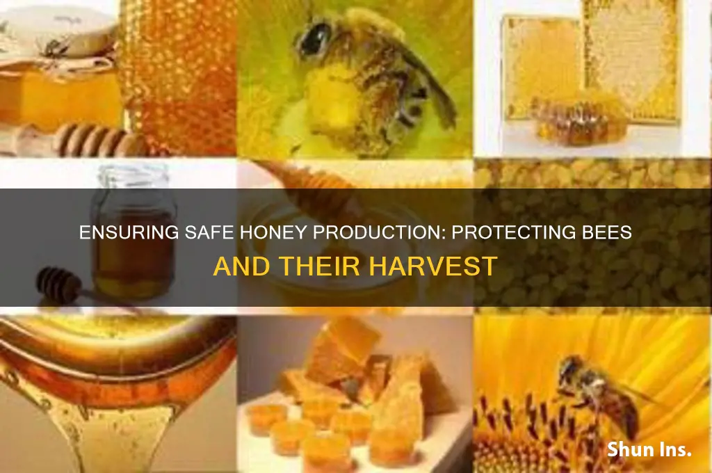 how to insure bees arent makimg unsafe honey