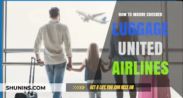 Insuring Checked Luggage: United Airlines Guide