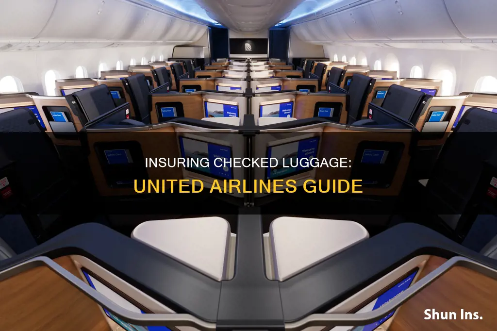 how to insure checked luggage united airlines