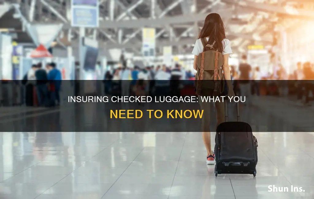 how to insure checked luggage