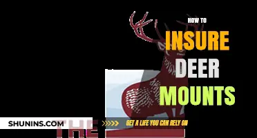 Protecting Your Trophy: A Guide to Insuring Deer Mounts