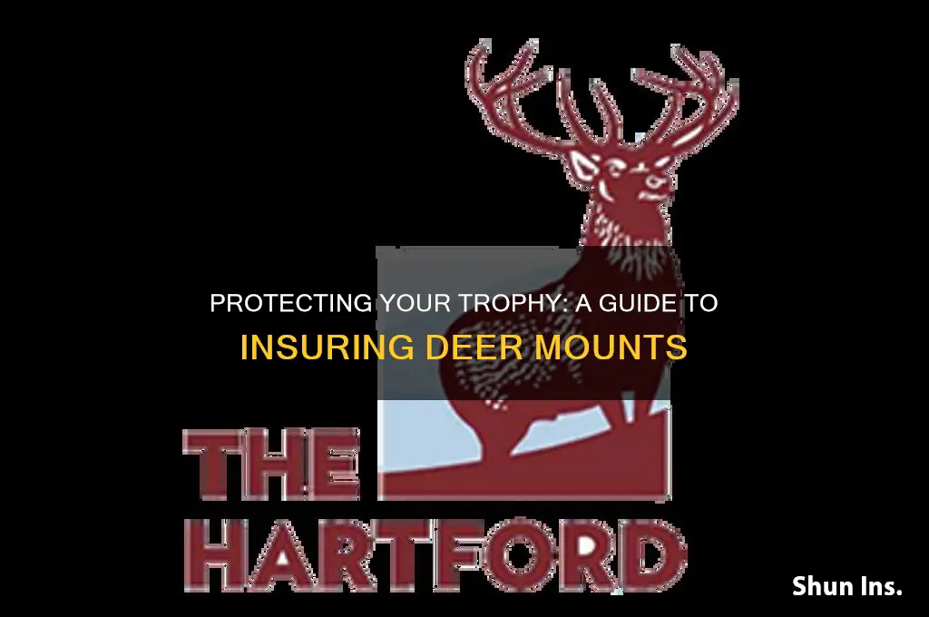 how to insure deer mounts