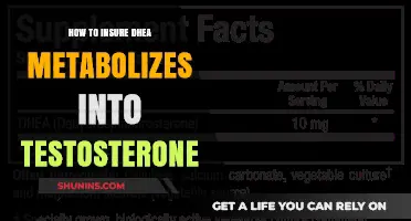 Optimize DHEA to Testosterone Conversion: Effective Strategies for Hormonal Balance
