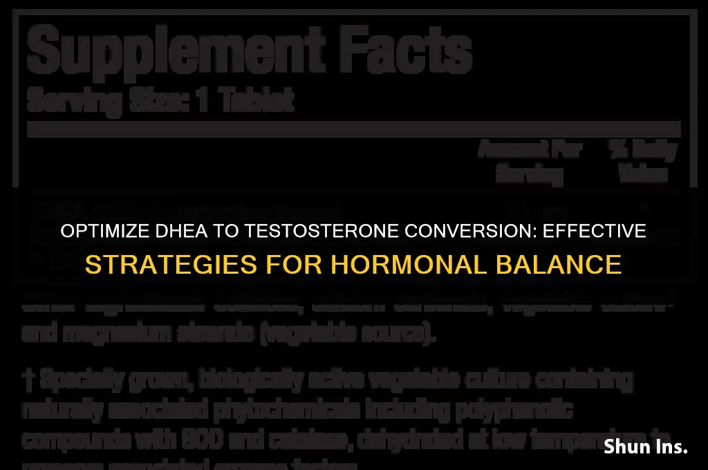 how to insure dhea metabolizes into testosterone