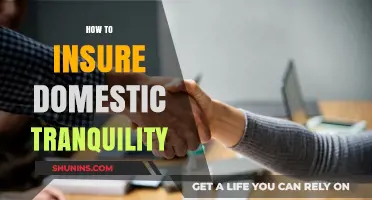 Fostering Peace at Home: Strategies to Insure Domestic Tranquility