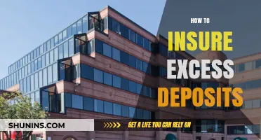 Securing Your Savings: A Guide to Insuring Excess Bank Deposits