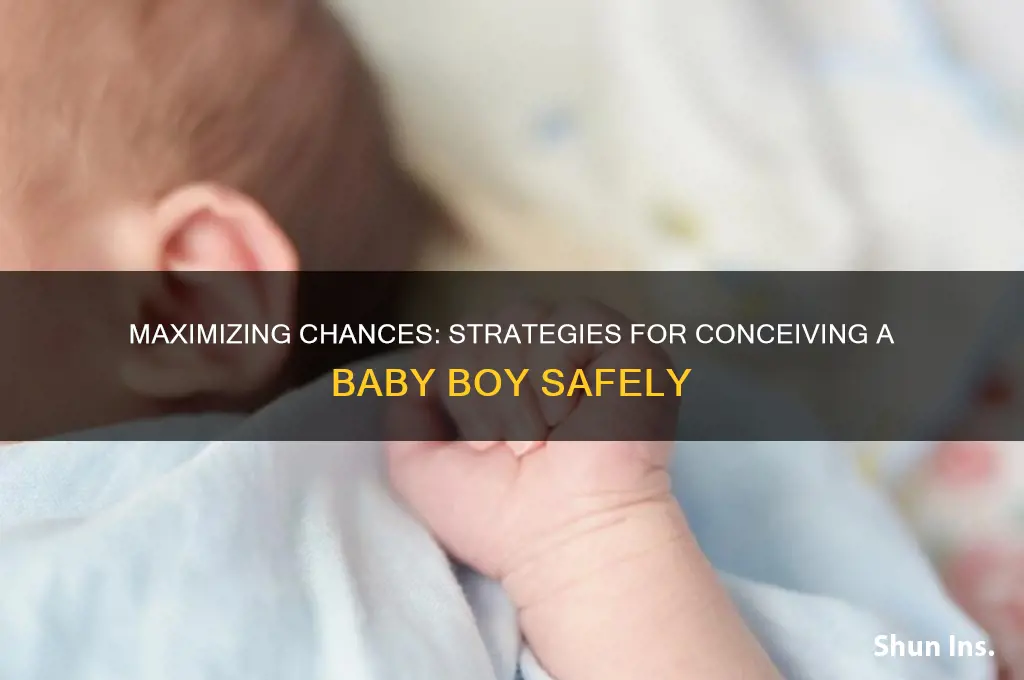how to insure fathering a boy
