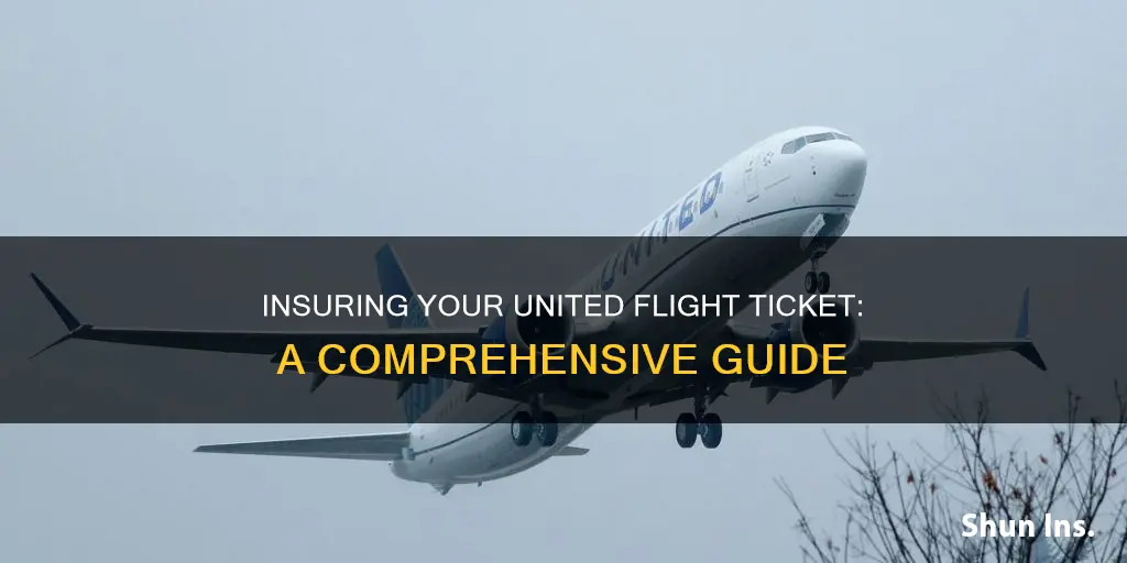 how to insure flight ticket on united