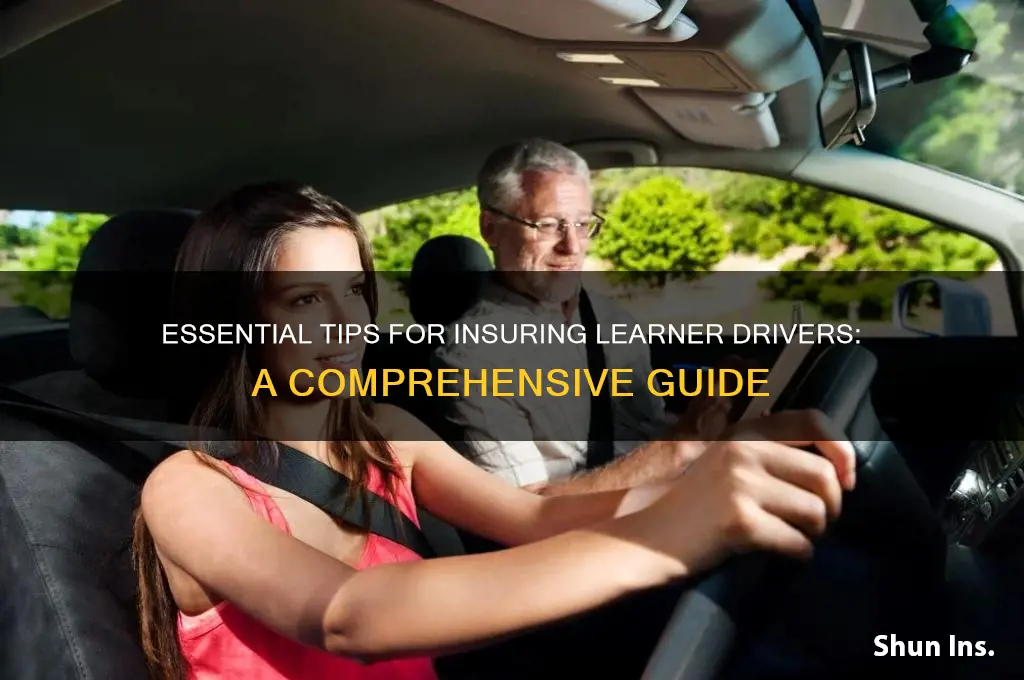 how to insure for learner drivers