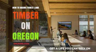 Protecting Oregon's Timber: A Guide to Insuring Forest Land