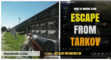 Secure Your Escape from Tarkov Gear: Essential Insurance Tips