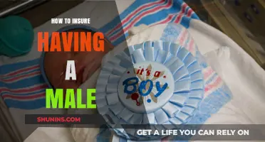 Strategies for Increasing the Chances of Conceiving a Baby Boy