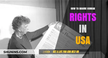 Ensuring Human Rights in the USA: Strategies for Protection and Advocacy