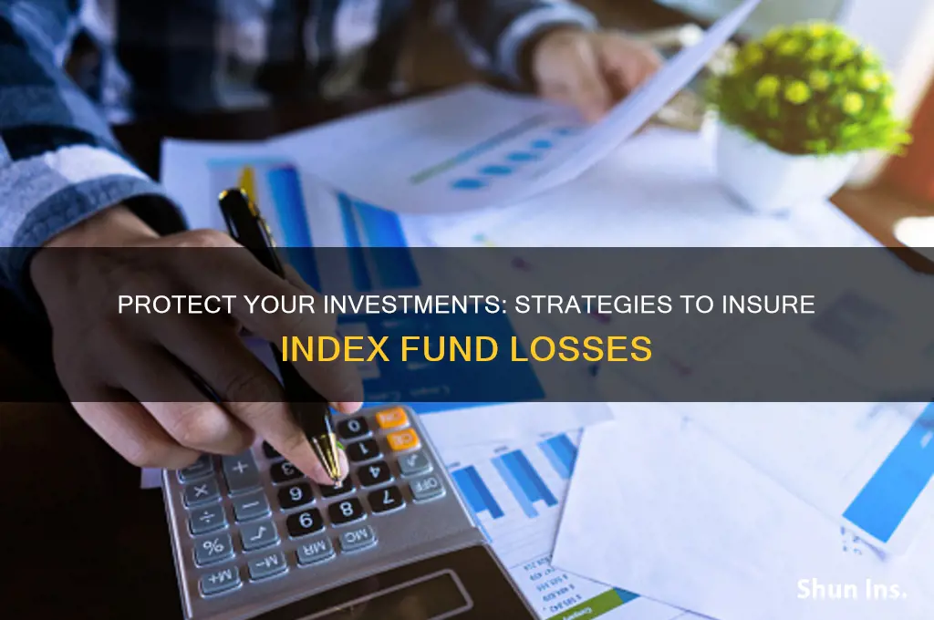 how to insure index fund losses
