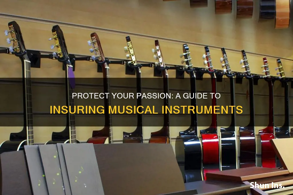 how to insure instruments