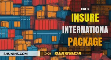 Secure Your Global Shipments: A Guide to Insuring International Packages