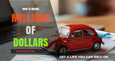 Securing Your Fortune: Expert Strategies to Insure Millions Effectively