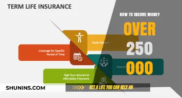 Insuring Large Sums: Protecting Your Wealth Over $250,000
