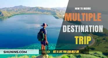 Insuring Multi-Destination Trips: Comprehensive Coverage for Your Global Adventures