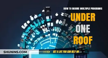 Streamlining Coverage: Insuring Multiple Programs Under One Roof Efficiently