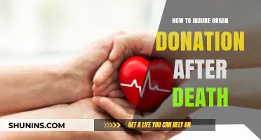 Securing Your Legacy: A Guide to Insuring Organ Donation After Death