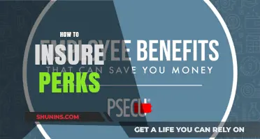 Maximizing Employee Benefits: A Guide to Insuring Perks Effectively