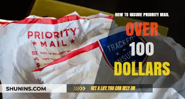 Insuring Priority Mail: Protecting High-Value Shipments Over $100