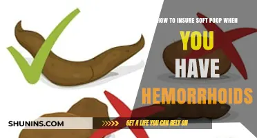 Soft Stool Solutions: Hemorrhoid Relief Through Smart Diet Choices