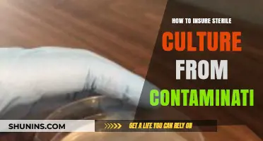 Mastering Sterile Culture Techniques to Prevent Contamination Effectively