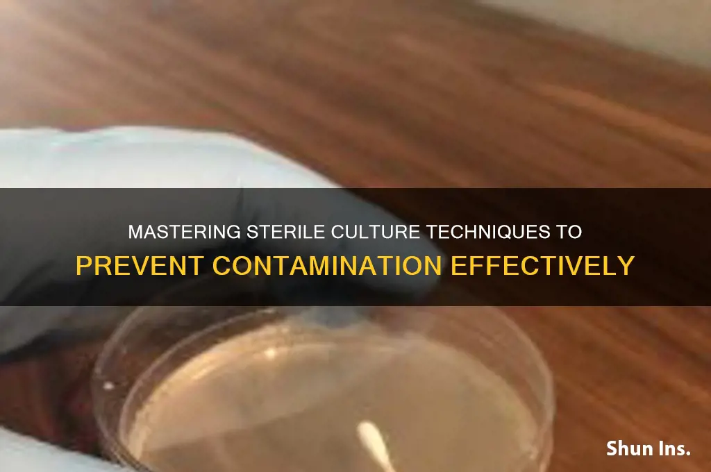 how to insure sterile culture from contamination