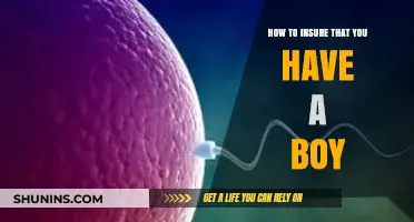 Guiding Your Family Planning: Strategies for Conceiving a Baby Boy