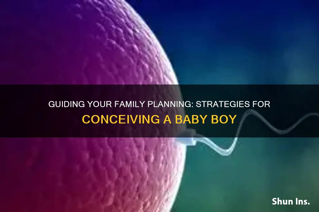 how to insure that you have a boy