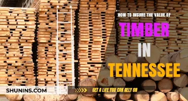 Securing Tennessee Timber Value: Essential Insurance Strategies for Owners
