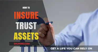 Securing Your Legacy: A Guide to Insuring Trust Assets Effectively