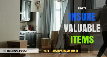 Protecting Your Treasures: A Guide to Insuring Valuable Possessions