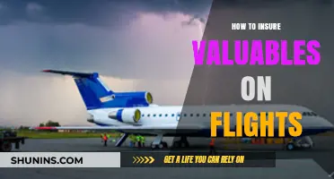 Secure Your Valuables: Essential Tips for Insuring Items During Flights