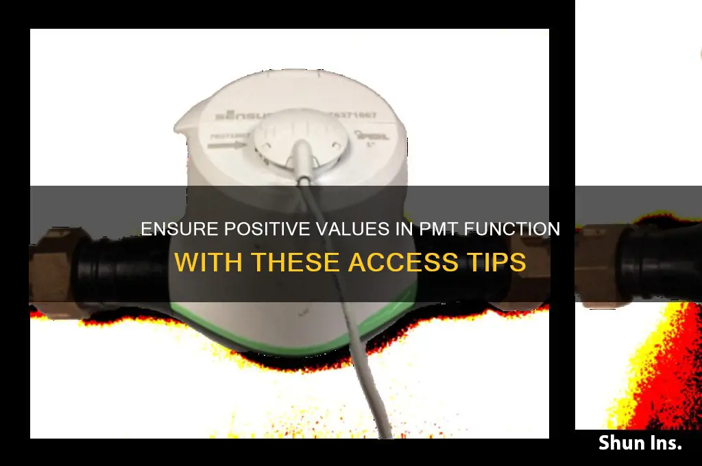 how to insure values are positive pmt function access