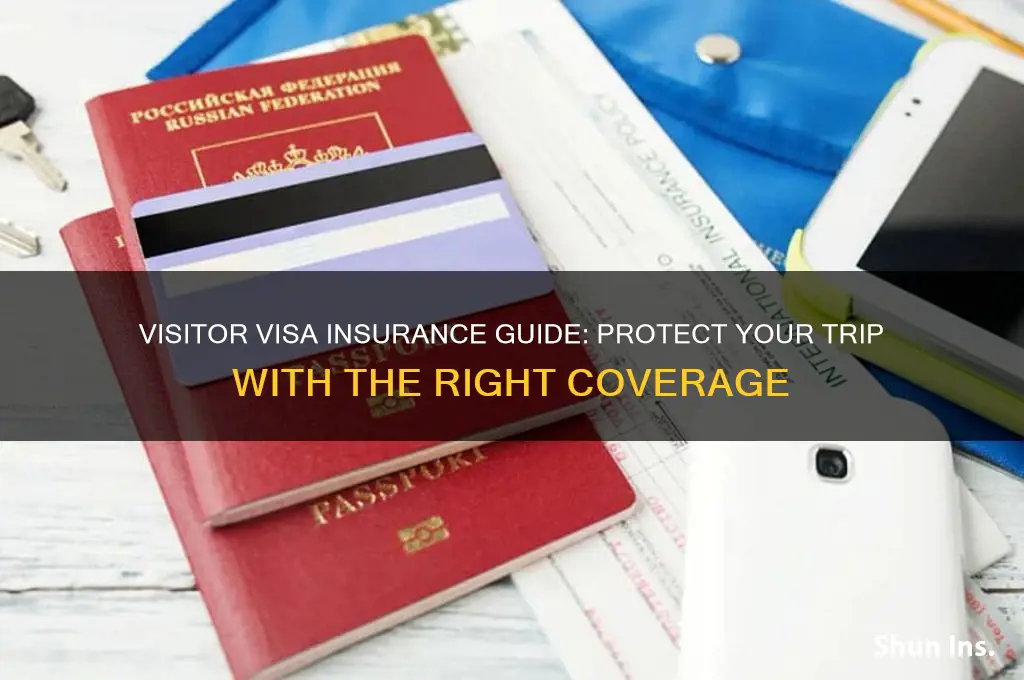 how to insure visitor visa