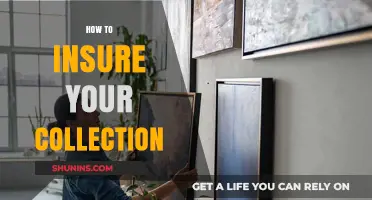 Protect Your Treasures: A Guide to Insuring Your Valuable Collection