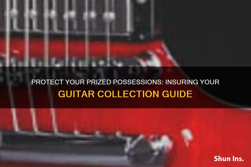 how to insure your guitar collection
