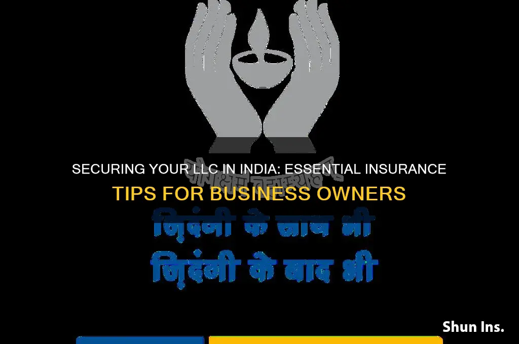 how to insure your llc in india
