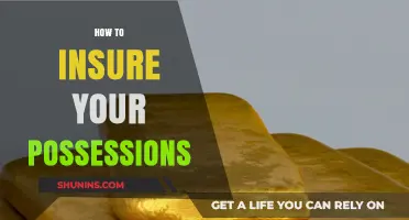 Secure Your Valuables: A Comprehensive Guide to Insuring Your Possessions
