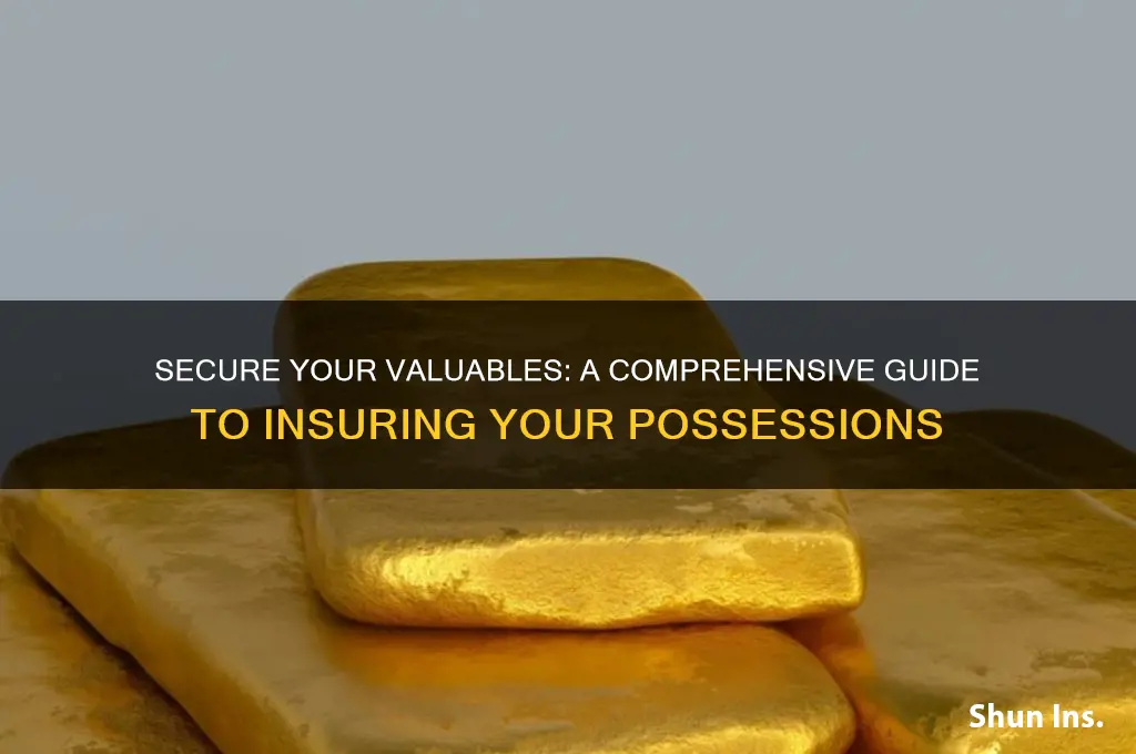 how to insure your possessions