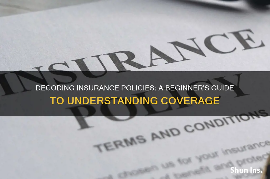 how to interpret insurance